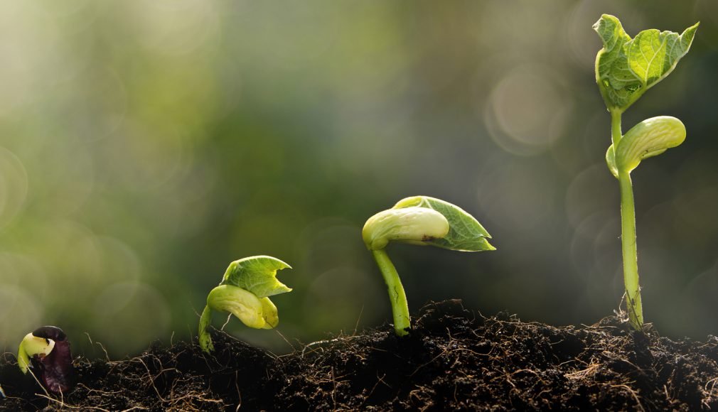 Growth Quotes For Her: Find Inspiration And Success